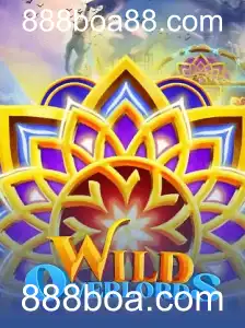 Desvendando o Universo de WildOverlords